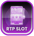 rtp slot PG133